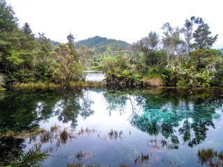 Clear spring water, New Zealand - Stock Image 