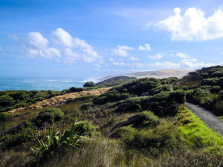 Fototapeta na wymiar Idyllic nature of Ahipara, New Zealand - Stock Image