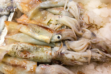 Sea fish on market stalls