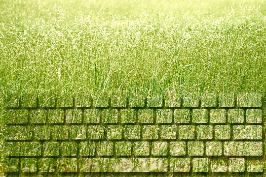 Tastiera di computer rigenerata da un prato. Immagine simbolica per concetti come sviluppo sostenibile, energie rinnovabili, ecologia.