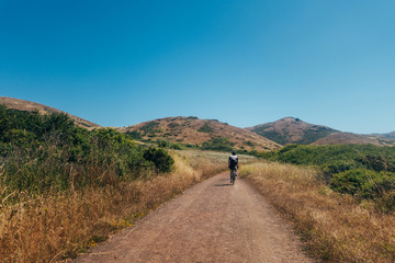 Fototapeta na wymiar Tall lean cyclist riding dirt trails mountain bike in tall dry yellow, green grass, rolling hills of marin county, northern california and blue clear no cloud sky.