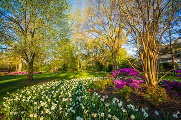 Naklejka premium Colorful flowers and trees at Sherwood Gardens Park in Guilford, Baltimore, Maryland.