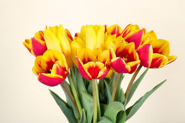 Beautiful bouquet of spring flowers on light background