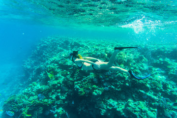 Naklejka na ściany i meble Beautiful coral reef with young freediver woman, underwater life. Copyspace for text