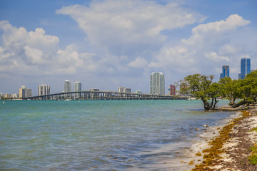 Miami Skyline from across the bay