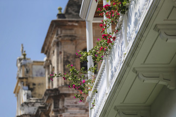 Flowers on the deck of a historic building