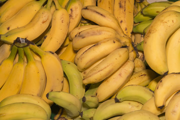 Bananas