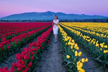 Young woman in colorful tulip fields at sunset. Tulip Festival. Skagit Valley. Mount Vernon. Seattle. WA.  United States.