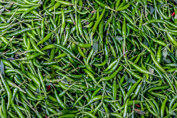 Pile of fresh green chilli peppers texture. Raw food background. Close up. Traditional vegetable market in Bangkok, Thailand.