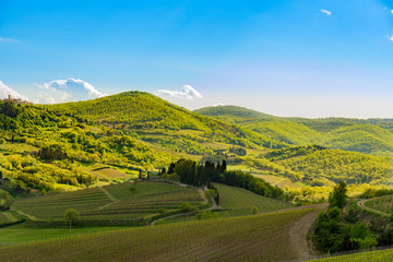 Fototapeta premium View of the countryside near the famous town of Radda in Chianti, Tuscany, Italy