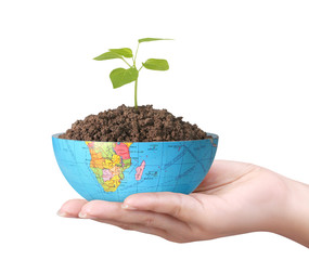 global  in human the hand