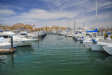 Fototapeta premium Cabo San Lucas Marina