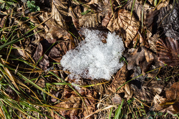 melting snow with grass