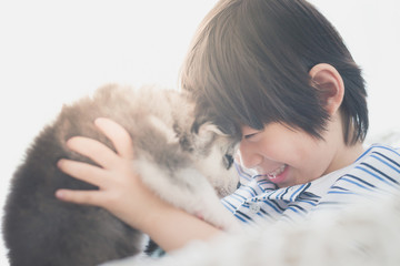 Cute asian child playing with siberian husky puppy © lalalululala