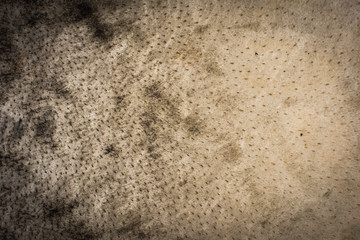 skin texture