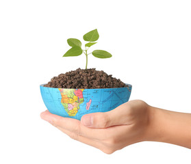 global  in human the hand