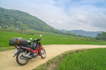 Fototapeta na wymiar Motorbike between rice fields