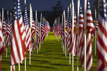 Field of Flags 009
