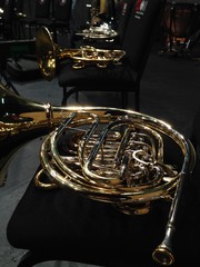Horn Musical Instrument