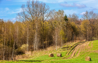 wiosenny dzień na Warmii