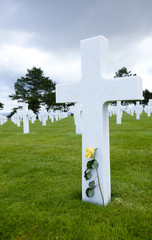 Remember the Fallen Yellow Rose Bring our Soldiers Home