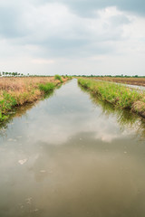 Canal soil at field for agriculture