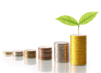 Investment concept, Coins graph stock