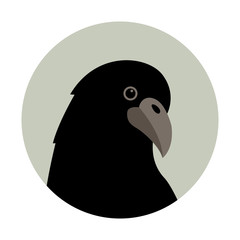 Raven head  vector illustration style Flat  