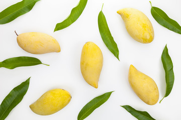 Mango with leaves on a white background.