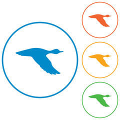 vector silhouette flying duck