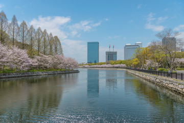 Fototapeta na wymiar 大阪城と大阪ビジネスパークの風景
