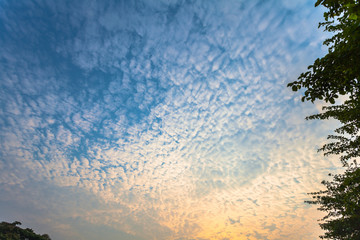 cloudy above river in the morning