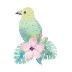 Watercolor tropical birds, flowers and leaves - 146622999