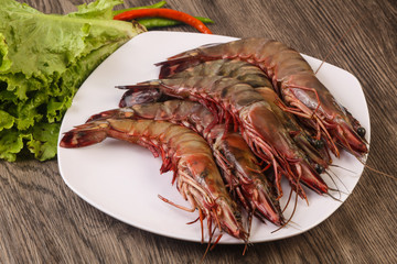 Raw big tiger prawn