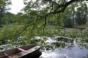 View of a boat on the pond, nature tree banches, water
