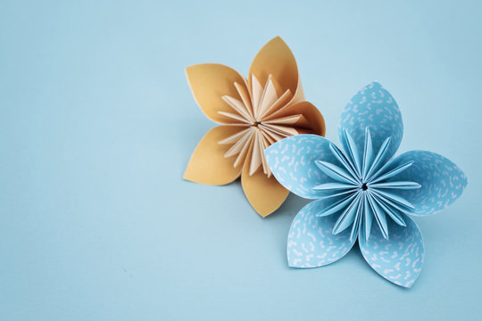 Flower origami with blue background