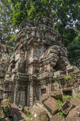 Fototapeta premium Ta Prohm temple in Angkor, Siem Reap, Cambodia.
