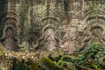 Ta Prohm temple beautiful ancient bas-relief in Angkor, Siem Reap, Cambodia.