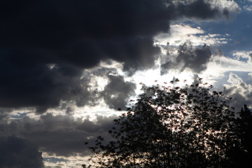 background withdark clouds and foliage