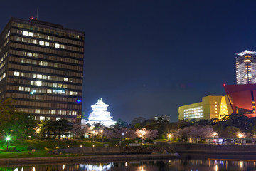 小倉城の夜景と夜桜