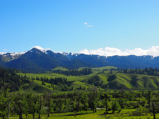 Nalati grassland,Xinjiang,China