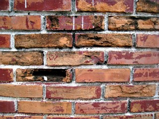 Fototapeta premium Old brick wall texture 