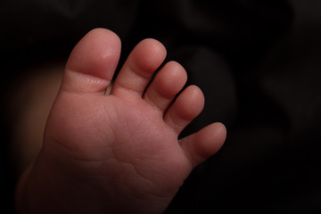 baby foot