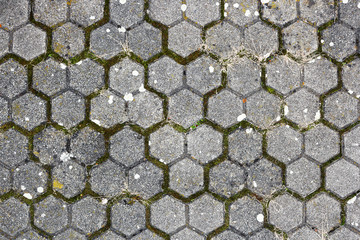 old paving texture