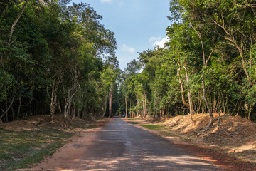 Fototapeta na wymiar Road through the jungle, Cambodia