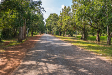 Road through the jungle, Cambodia