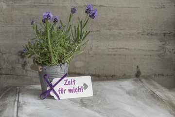 Zeit für mich, Auszeit, Lavendel vor Holz