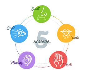 Five senses with complex hand drawn icons in a mind map design