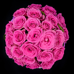 Obrazy na Szkle  Różowe róże na czarnym tle