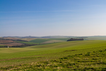 Early Morning Sussex Landscape